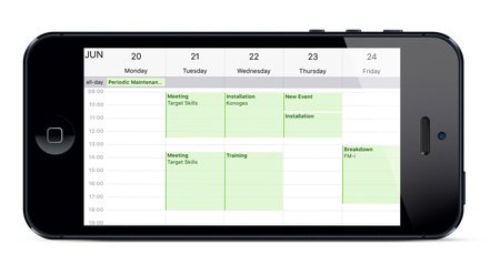 overzicht iPhone kalender